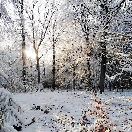 L'escale Buissonniere - Cosy And Quiet House Holiday home Rochefort