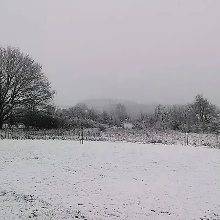 Holiday home L'escale Buissonniere - Cosy And Quiet House Rochefort