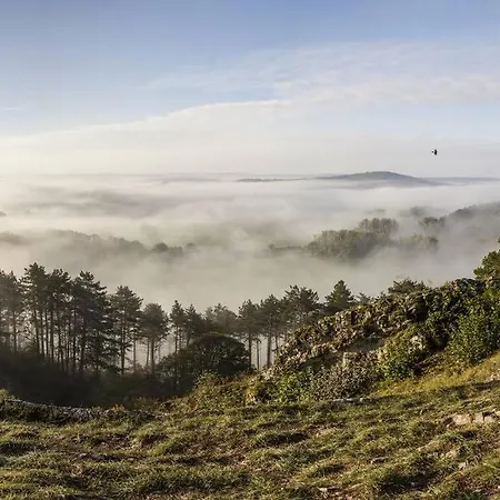 Holiday home L'escale Buissonniere - Cosy And Quiet House Rochefort