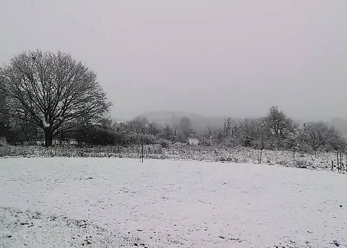 בית נופש L'escale Buissonniere - Cosy And Quiet House רושפורט